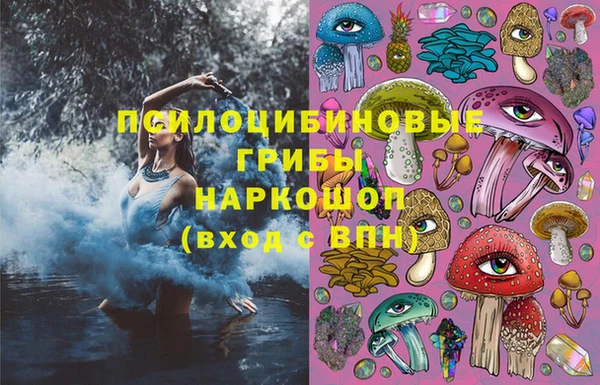 молекула духа Бугульма