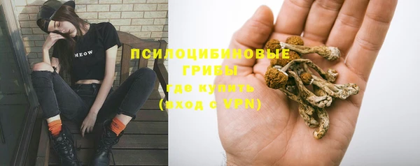 СК Бородино