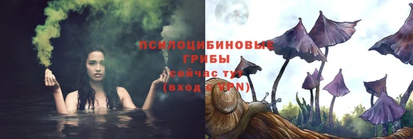 молекула духа Бугульма