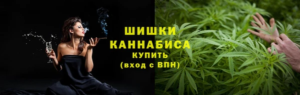 молекула духа Бугульма