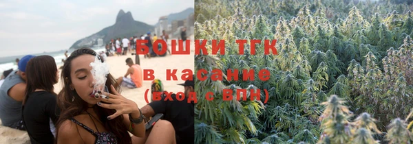 молекула духа Бугульма