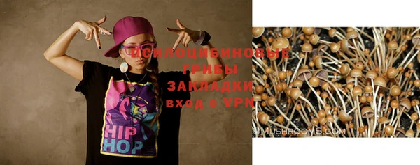 молекула духа Бугульма
